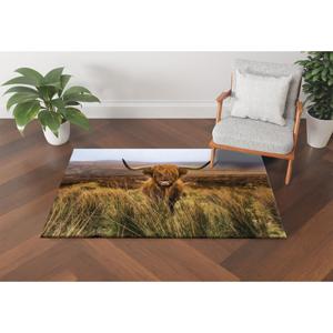Alfombra de vaca de las Tierras Altas, alfombra rústica de animales de granja, tapete de suelo con estampado digital de la naturaleza escocesa, alfombra suave con pelo largo - Product Image 5