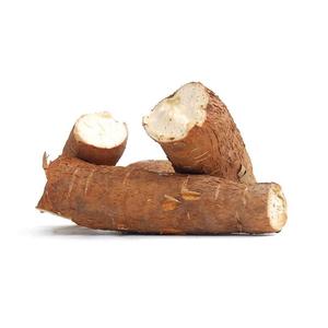 Légumes de manioc frais 100% naturels et biologiques 20cm 25kg Portugal au meilleur prix de gros - Product Image 3