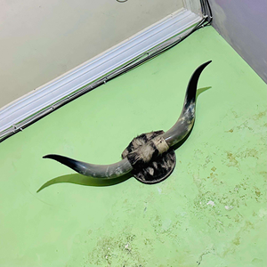 Decoración de Pared de Cuerno de Búfalo Natural, Par de Lámparas de Sal Decorativas Montadas en Cuerno, Venta Caliente por Tradebit - Product Image 2