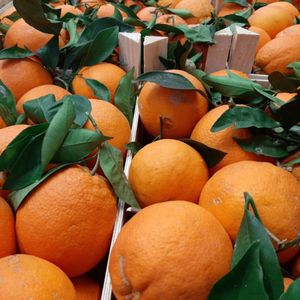 Naranja Navel Fresca Orgánica de Primera Calidad en Venta - Product Image 5
