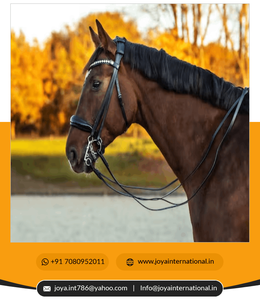 Bride de cheval Vente à chaud de licou de corde de cheval réglable Vêtements d'équitation durables Brides en cuir anglais saisonnières - Product Image 4