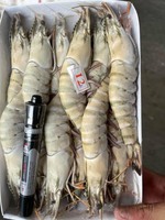 Grossistes de crevettes géantes noires surgelées IQF entières, exportateurs au prix compétitif depuis le Vietnam