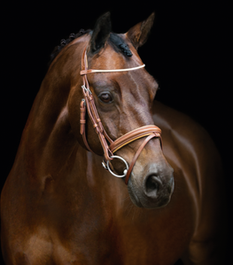 Brida de cuero Caballo Ecuestre Cuero Innovadora Brida con una combinación de Cruz y Flash Noseband Personalización disponible - Product Image 2