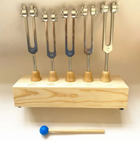 Juego de Diapasones para Ondas Cerebrales de Alta Calidad, Marca Mars International, con Soporte - 5 Piezas - Product Image 6