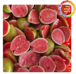 ฝรั่งแช่แข็งจำนวนมาก | ราคาที่ดีที่สุดอายุการเก็บรักษานานการจัดส่งทั่วโลก | ฝรั่งทั้งชิ้นและหั่นบางๆในราคาที่ดีจากเวียดนาม - Product Image 3