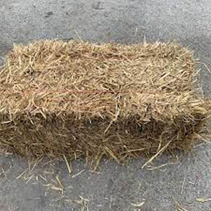 Balles de foin en paille de blé de bonne qualité pour l'alimentation des animaux, meilleure vente à bas prix très raisonnable - Product Image 4