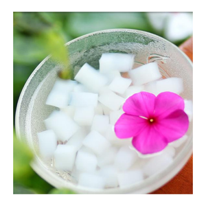 Gelée de noix de coco du Vietnam au sirop sucré pour l'exportation Nata De Coco adapté aux boissons de dessert et aux mélanges de fruits - Product Image 5