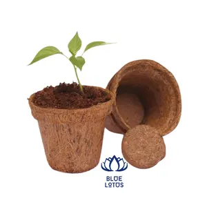 COIR POTS FOR PLANTS FROM VIETNAM | BLUE LOTUS coconut coir pots decorations for home decorative Ms Heidi +84 961 066 080