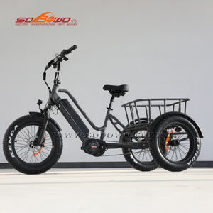 Tricycle de vélo cargo <span class=keywords><strong>électrique</strong></span> à 3 roues à entraînement central, 1000w, gros pneu, avec différentiel - Product Image 3