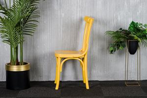 เก้าอี้รับประทานอาหารไม้สีเหลืองทันสมัยสไตล์ย้อนยุคกรอบโค้งตัวหนาเหมาะสำหรับห้องนั่งเล่นโรงแรมและพื้นที่กลางแจ้ง - Product Image 3