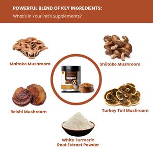 Suplemento antialérgico para aliviar la picazón para perros, tratamiento de puntos calientes, mejora la capa de la piel, suplementos Premium para el cuidado de la salud de mascotas - Product Image 6