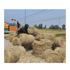 Pajita de arroz seco para precio al por mayor en embalaje estándar de Vietnam - Product Image 6