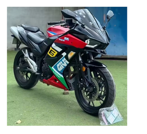 Motocicleta Deportiva BMW Twin-R de Alto Rendimiento para Carreras, Venta Rápida - Product Image 3