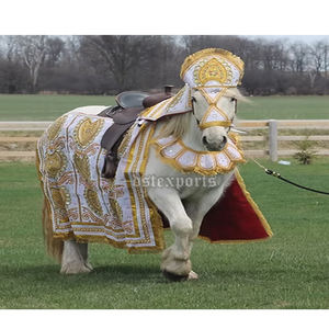 Costume de cheval brodé pour mariage indien, portable, moderne, de luxe, broderie à la main, tenue traditionnelle - Product Image 3