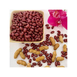 Arachides de qualité supérieure, vente en gros, livraison rapide, qualité supérieure - Product Image 5