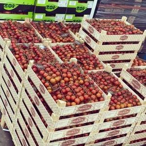 Sự lựa chọn của nông dân Cà Chua Lai đỏ F1 thu hoạch Tươi 10kg 20kg/anh đào tươi ngon bao bì cà chua bán số lượng lớn - Product Image 2