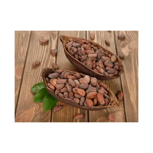 Beurre de cacao en poudre de cacao séché de qualité A de bonne qualité/cacao/fève de chocolat