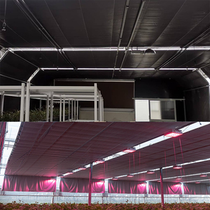 ONE-ONE Invernadero de cultivo de cáñamo de bajo costo Invernadero opaco de agricultura comercial a la venta - Product Image 6