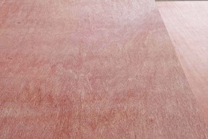 Contreplaqué d'eucalyptus de conception moderne commerciale, âme en bois dur, face en Bintangor/Okume/Pin - Product Image 5