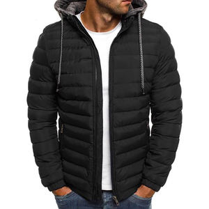 Veste d'hiver rembourrée en duvet pour homme, imperméable, à capuche, légère, idéale pour la randonnée, les voyages, le travail, le style quotidien - Product Image 1