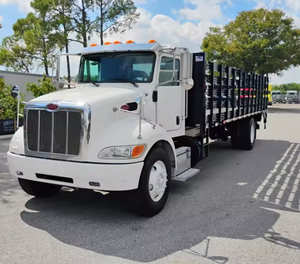 PRÊT À EXPÉDIER Camion Utilitaire Diesel Manuel d'Occasion 2019 330 Transport de Marchandises Commercial - Product Image 2