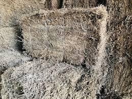 TRADITIONAL DRIED <b>GRASS</b> JELLY / ORGANIC SOURCE / IMMUNE FRIENDLY / ANTIOXIDANT-RICH - Product Image 4