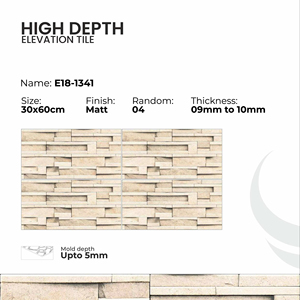 Carreaux muraux extérieurs en porcelaine 300x600mm, collection Elevation - Product Image 1
