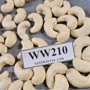 ถั่วเม็ดมะม่วงหิมพานต์คาจู WW210นัทแซนติโกและเมล็ดส่งออกไปทั่วโลก - Product Image 1