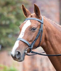 Chasseur Cavesson bride cheval mors en cuir conception personnalisée prix bon marché vente en gros cheval mors en cuir bride - Product Image 3