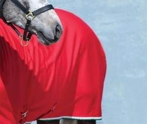 Tapis de cheval en coton synthétique léger et durable rouge vif imperméable à l'eau pour une utilisation toute l'année pour l'hiver et l'été - Product Image 3