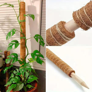 <b>Cover</b> Shipping Fee US Stock 4pcs <b>Plastic</b> Coated Moss Pole Kit with Ties for Monstera Indoor/Outdoor Plant Support - Product Image 5