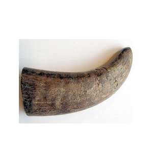 Puntas de Cuerno de Búfalo Pulido Hechas a Mano, Ecológicas y de Alta Calidad, Color Natural, Tamaño Personalizado para Decoraciones de Bodas y Festividades - Product Image 1