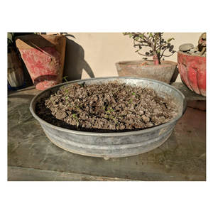 Jardinières en métal de fer fini antique conception personnalisée décoration de jardin classique pour un usage domestique meilleur fabricant de jardinières de Pots de fleurs - Product Image 4