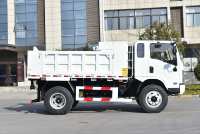 Camion à benne basculante SHACMAN SAGMOTO X9 1995 modèle cabine 4x4 adapté à la région arabe