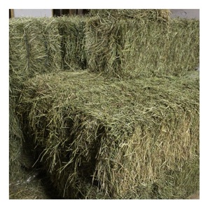 Prix de gros pour le foin de Timothy pour l'alimentation animale, stock en vrac disponible à la vente - Product Image 3