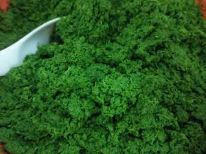 FEUILLES DE MANIERE PREMIUM DU VIETNAM // PRODUIT DE FEUILLES DE MANIERE CONGELÉES // MEILLEUR PRIX VIETNAM - Product Image 2