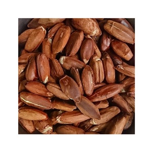 VENTE FLASH Vente en gros de Kola amère (Garcinia Kola) de qualité supérieure à prix avantageux - Product Image 4