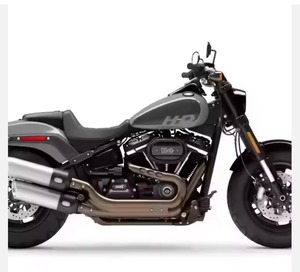 MOTOCICLETA CRUISER FAT B 114 MÁS VENDIDA EN 2023 / 2024, Garantía de 3 Años, Hecha en China, Soporte Personalizado ODM/OEM - Product Image 4