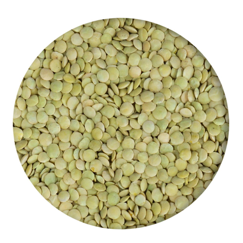 Best Factory Price of Natural Organic Canadian Red Lentils Split Red Lentils Available In Large Quantity