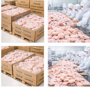 Alas de Pollo Congeladas a Precio Accesible para Suministro Global - Product Image 2