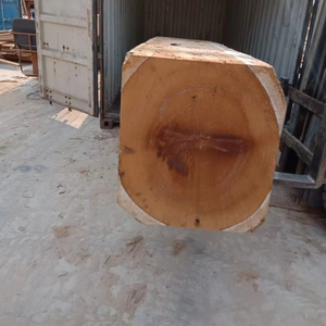 Tallowwood <b>Logs</b> for Plywood Manufacturing Tallowwood <b>Logs</b> for <b>Wooden</b> Pallets Tallowwood <b>Logs</b> for Premium Veneer - Product Image 1