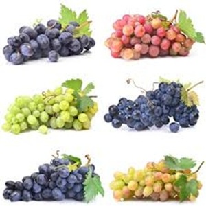 Variedades variadas de uvas rojas dulces y deliciosas a la venta a precios competitivos - Product Image 5