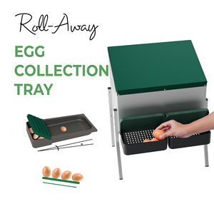 MG02-WS Two-Compartment Metal Laying Nest Box for 10 Chickens with Plastic <strong>Egg</strong> Tray and Metal Legs for Safe <strong>Egg</strong> <strong>Harvesting</strong> - Product Image 5