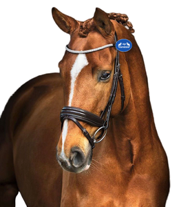 Montar a caballo ecuestre cuero genuino cuero de brida de caballo con herrajes dorados plateados con rienda negro-marrón tamaño personalizado - Product Image 1