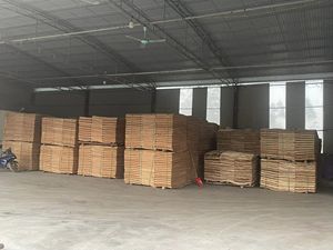 แผ่นไม้อัดอะคาเซียแกนวีเนียร์ขนาด2มม. สำหรับงานร่วมสมัยสำหรับไม้อัดไร้หน้าจากประเทศเวียดนาม - Product Image 4