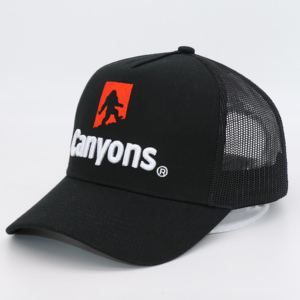 Vente en gros de haute qualité logo personnalisé maille 5 panneaux couleur personnalisée tissu commun sportif camionneur chapeaux casquettes - Product Image 4