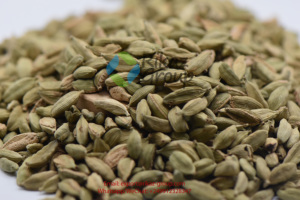 Vente en gros de cardamome verte biologique de qualité supérieure provenant directement de la Tanzanie Produits agricoles - Product Image 6