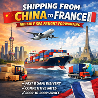 Transitaire maritime et aérien DK SAILING Chine, agent d'expédition, fret maritime et aérien, DDP, DDU, LCL, porte-à-porte, Amazon FBA, express, assurance, 24h/24, 7j/7