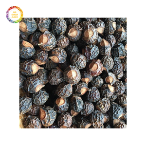 Best Quality Soap Nuts with Strong Cleaning Power and Affordable Bulk Price for International Buyers - Product Image 3