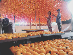 Kaki séché d'exportation de qualité supérieure du Vietnam, texture douce et naturellement douce, produit de marque privée OEM pour la vente au détail au supermarché - Product Image 2